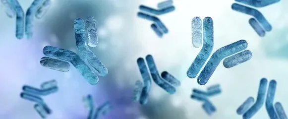 Antibodies & Immunoglobulins