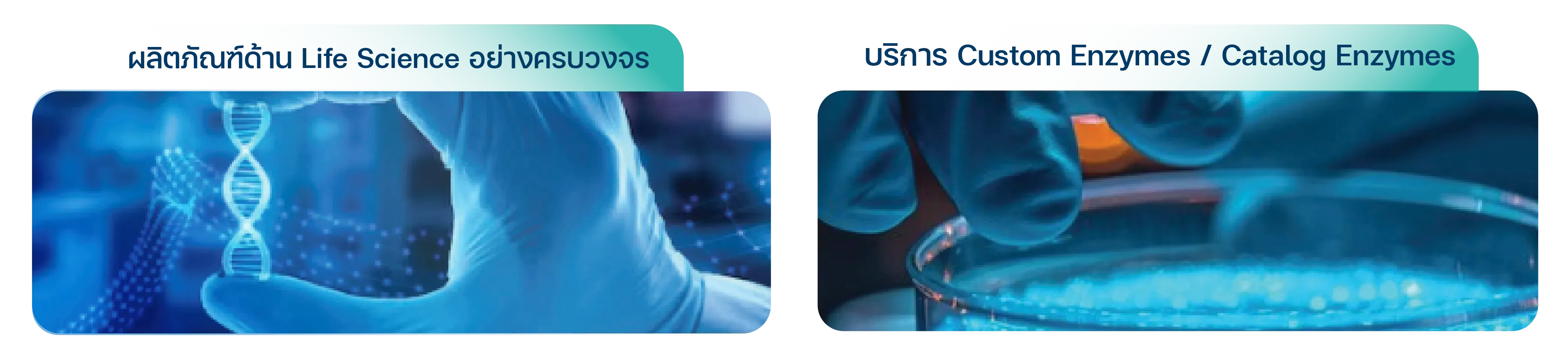 Biosynth 4