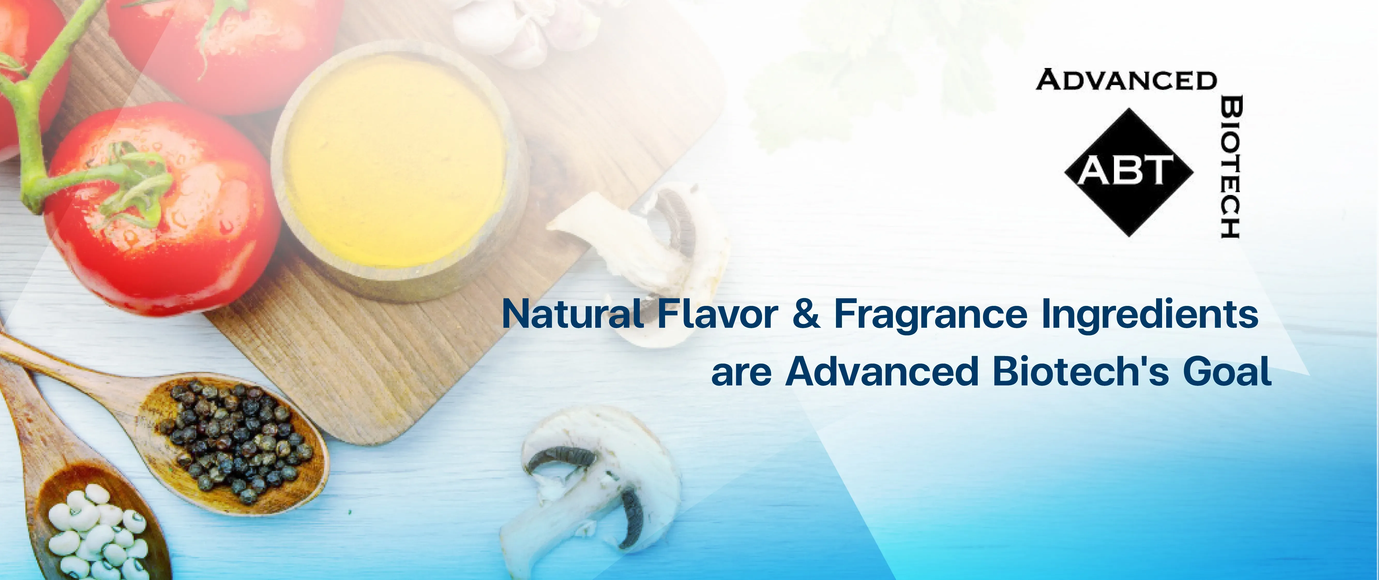 Brand Banner-15.webp