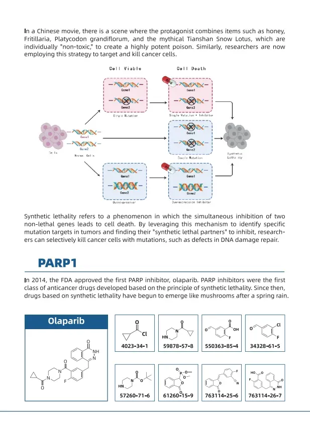 Supporting the Development of New Drugs for Synthetic Lethality - 2