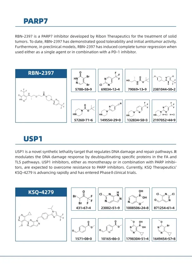 Supporting the Development of New Drugs for Synthetic Lethality - 3