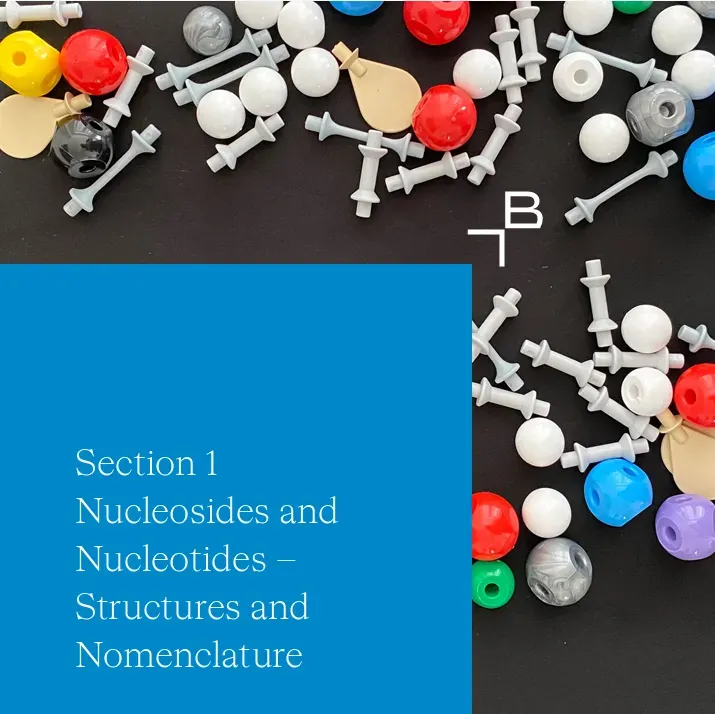 Nucleosides, Nucleotides and Nucleic Acids Toolbox Part I - 3
