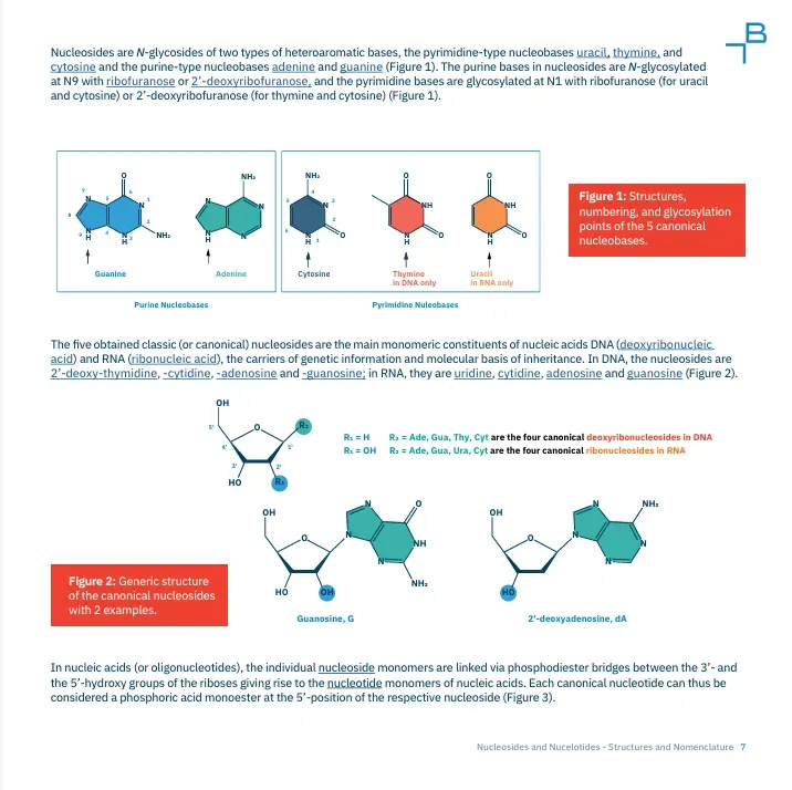 Nucleosides, Nucleotides and Nucleic Acids Toolbox Part I - 4