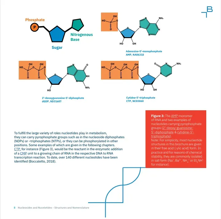 Nucleosides, Nucleotides and Nucleic Acids Toolbox Part I - 5