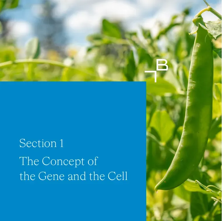 Nucleosides, Nucleotides and Nucleic Acids Toolbox Part II - 4