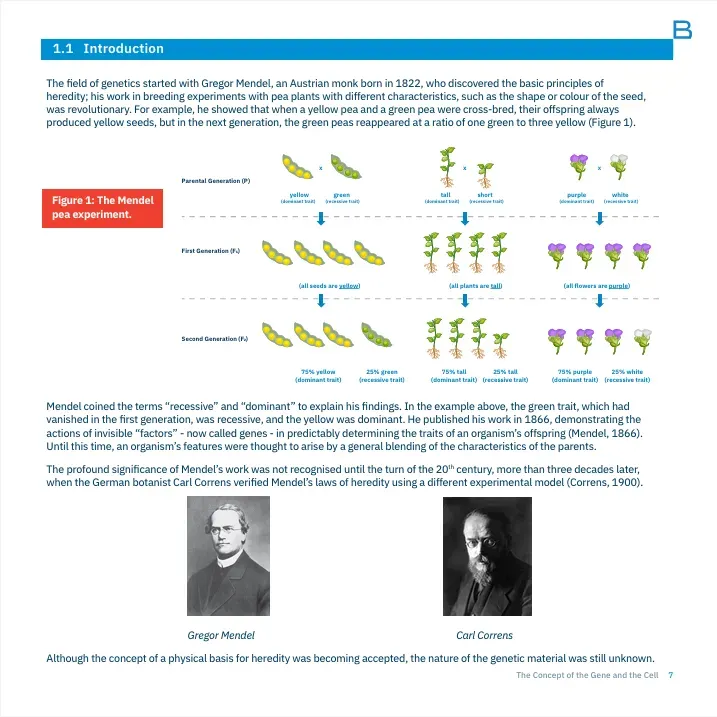 Nucleosides, Nucleotides and Nucleic Acids Toolbox Part II - 5