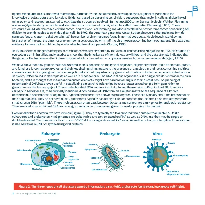 Nucleosides, Nucleotides and Nucleic Acids Toolbox Part II - 6
