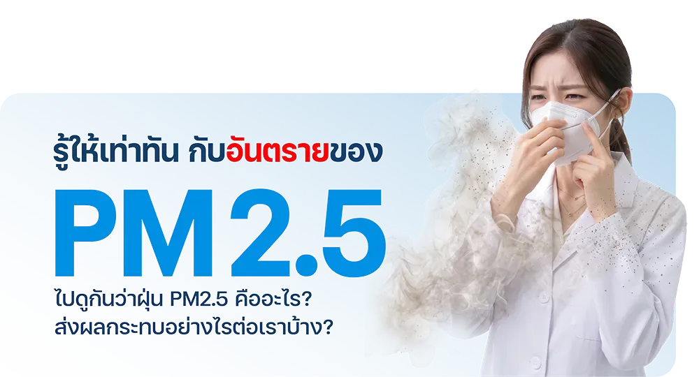 PM 2.5 คืออะไร ส่งผลกระทบอย่างไร