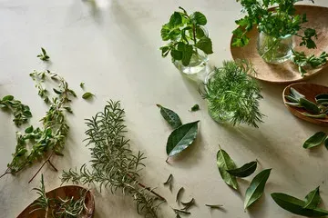 Phytochemical Standards