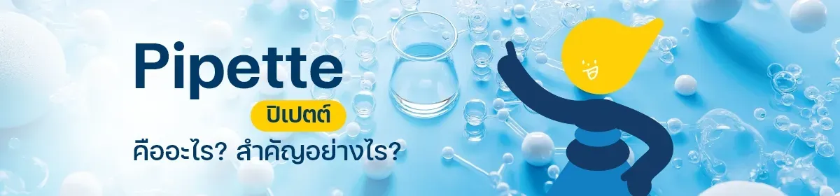ปิเปตต์ คืออะไร สำคัญอย่างไร?