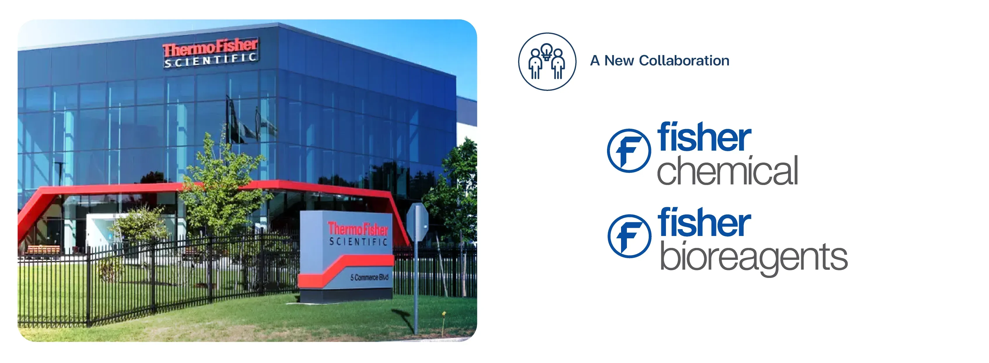 เป็นตัวแทนจำหน่ายสารเคมี ThermoFisher Scientific 