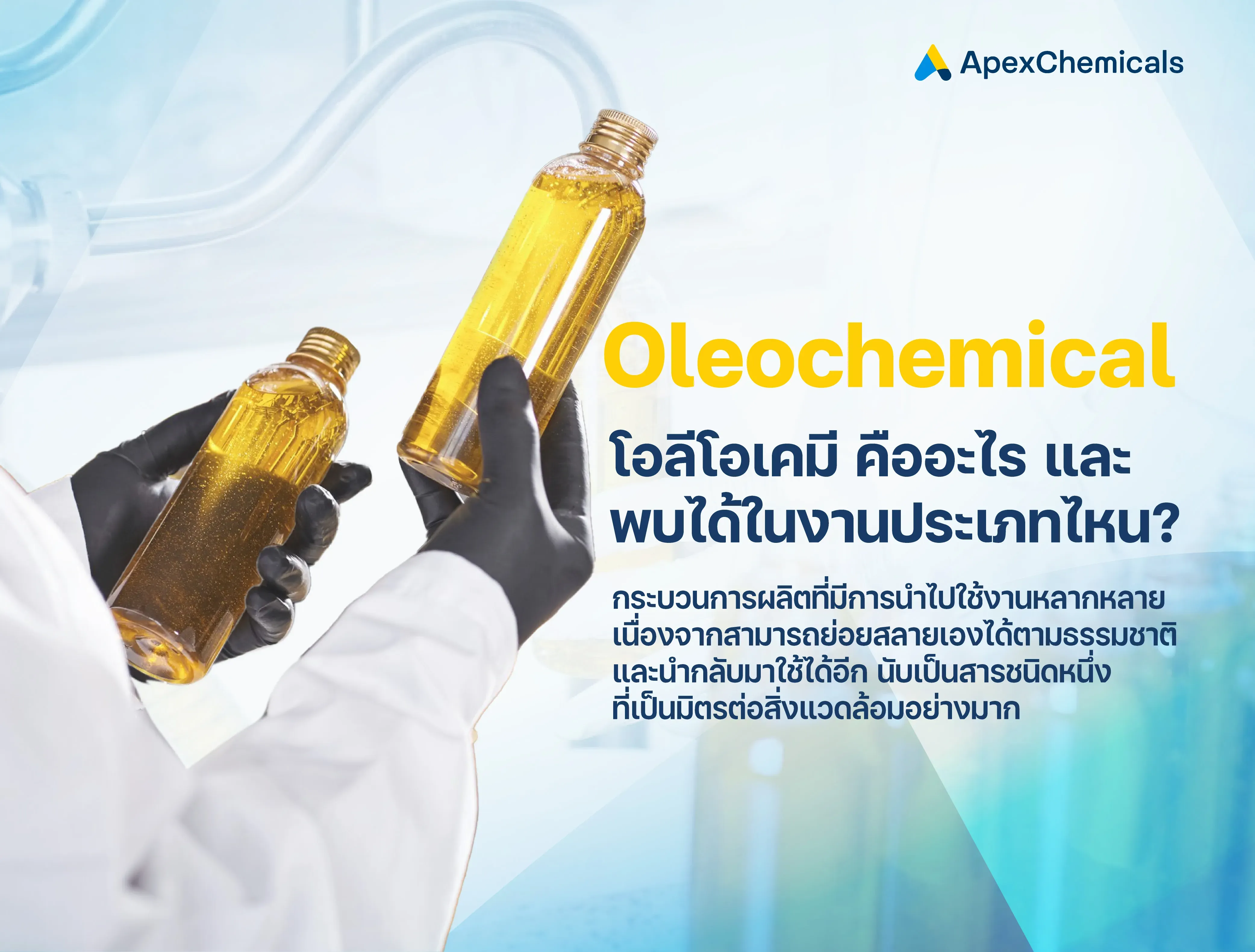 โอลีโอเคมี (Oleochemical) คืออะไรและพบได้ในงานประเภทไหนบ้าง?  