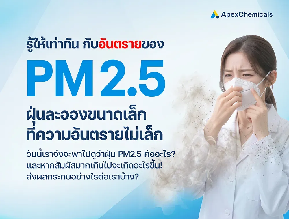 PM 2.5 ฝุ่นละอองขนาดเล็ก แต่ความอันตรายไม่เล็ก!