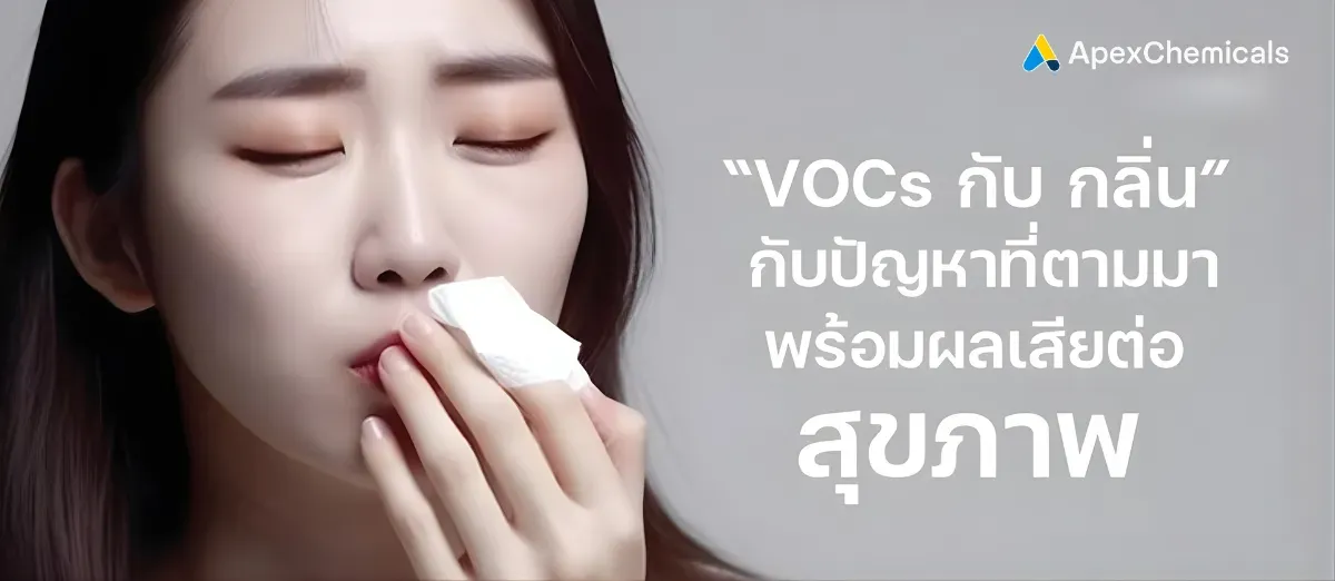 ปัญหาที่ตามมาจาก Volatile Organic Compounds