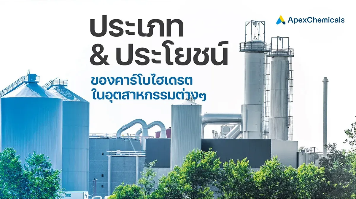 ประเภทและประโยชน์ของคาร์โบไฮเดรตในอุตสาหกรรมต่างๆ