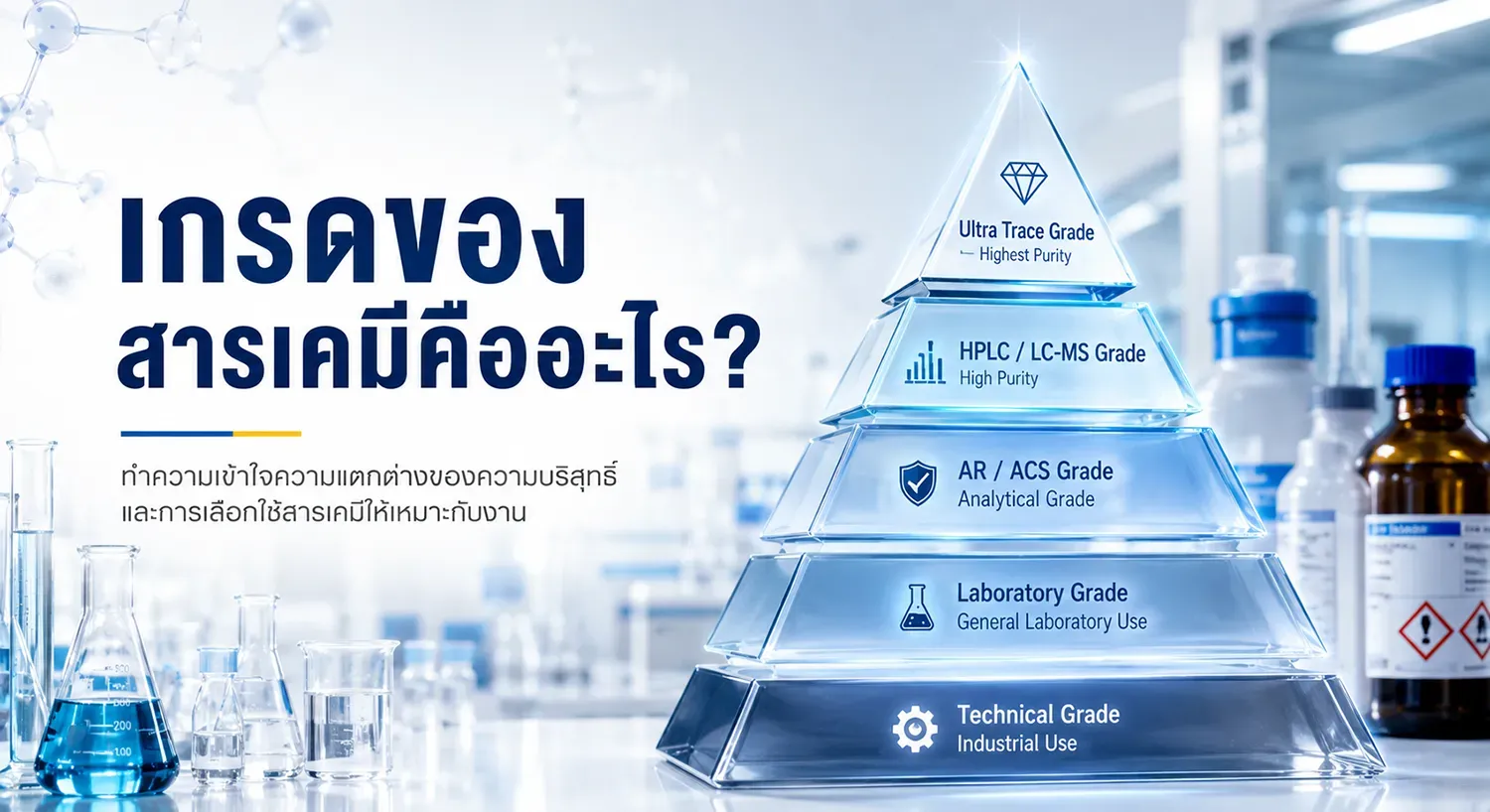 d87d3001-f3cc-425a-9094-dc99c5ffde27.webp