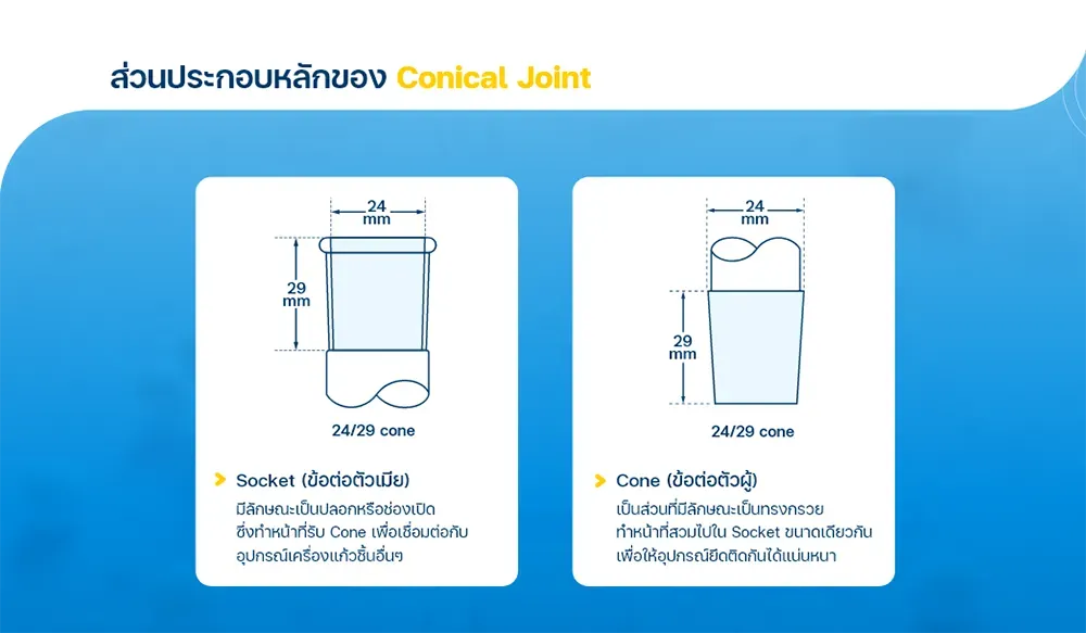 ส่วนประกอบหลักของ Joint