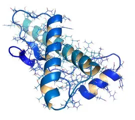 Proteins